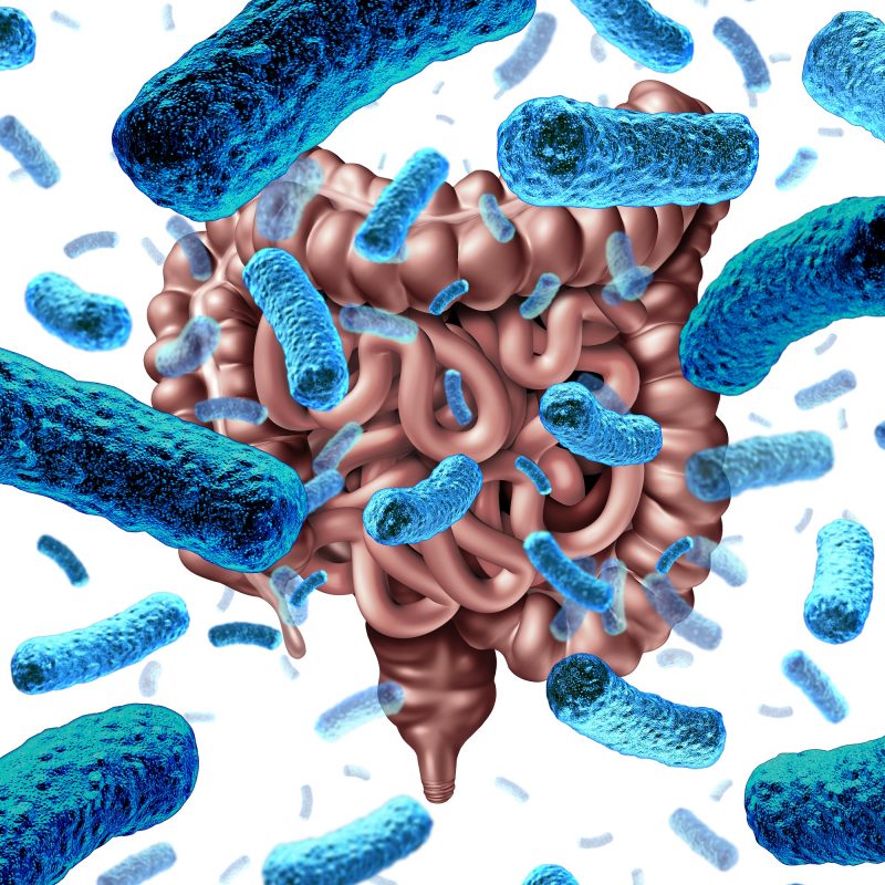 The Gut Microbiome and Its Impact on Your Health and Brain