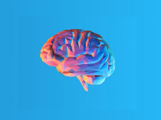 Aging Brain and Cholestrol