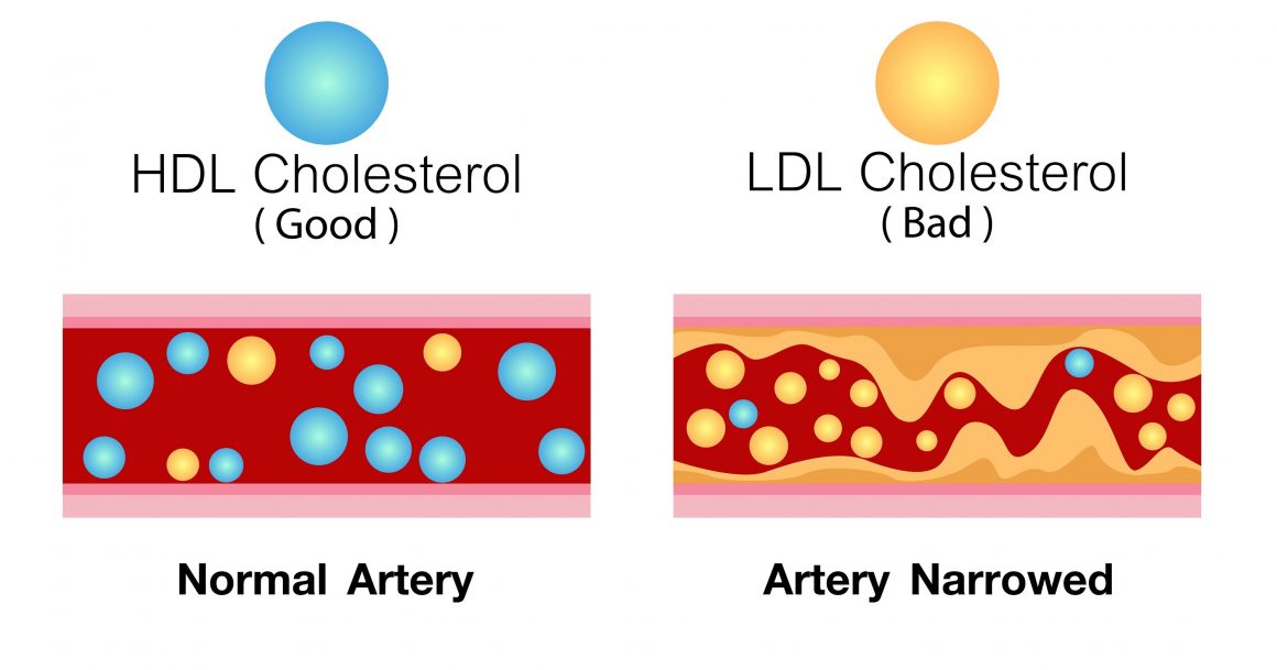 Cholesterol Baby Brain Development: How It Affects Your Child’s Future