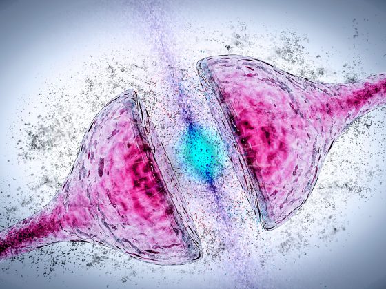 Alzheimer’s Disease