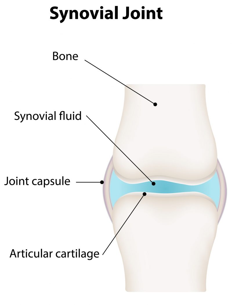 What Foods Should You Eat for Joint Health?