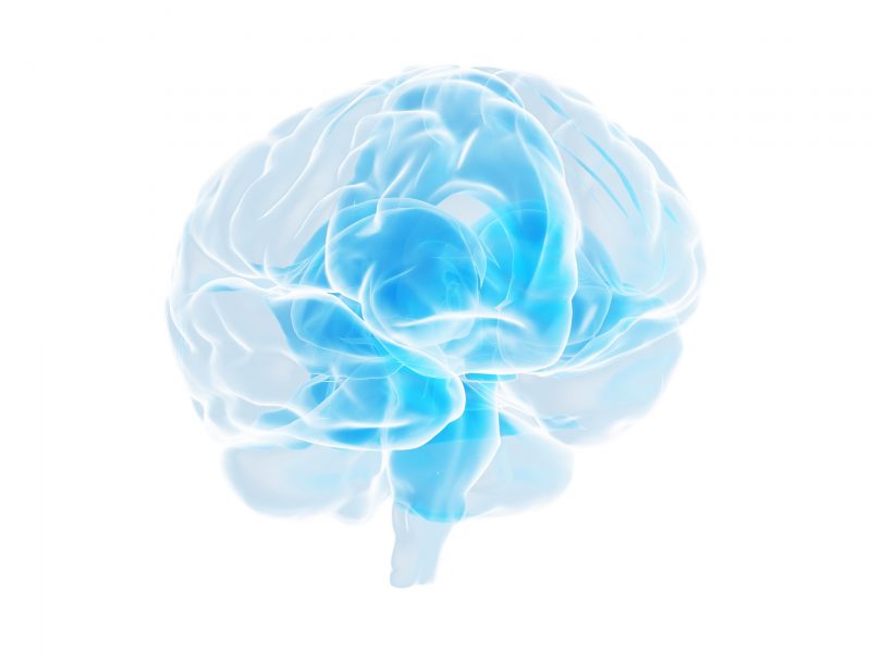 Do Anti-Inflammatory Drugs Assist Healthy Brain Aging?