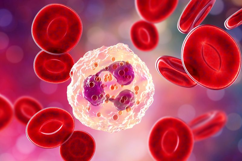 inflamation and aging