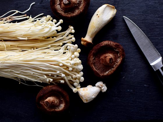 Mushrooms and Healthy Immune System