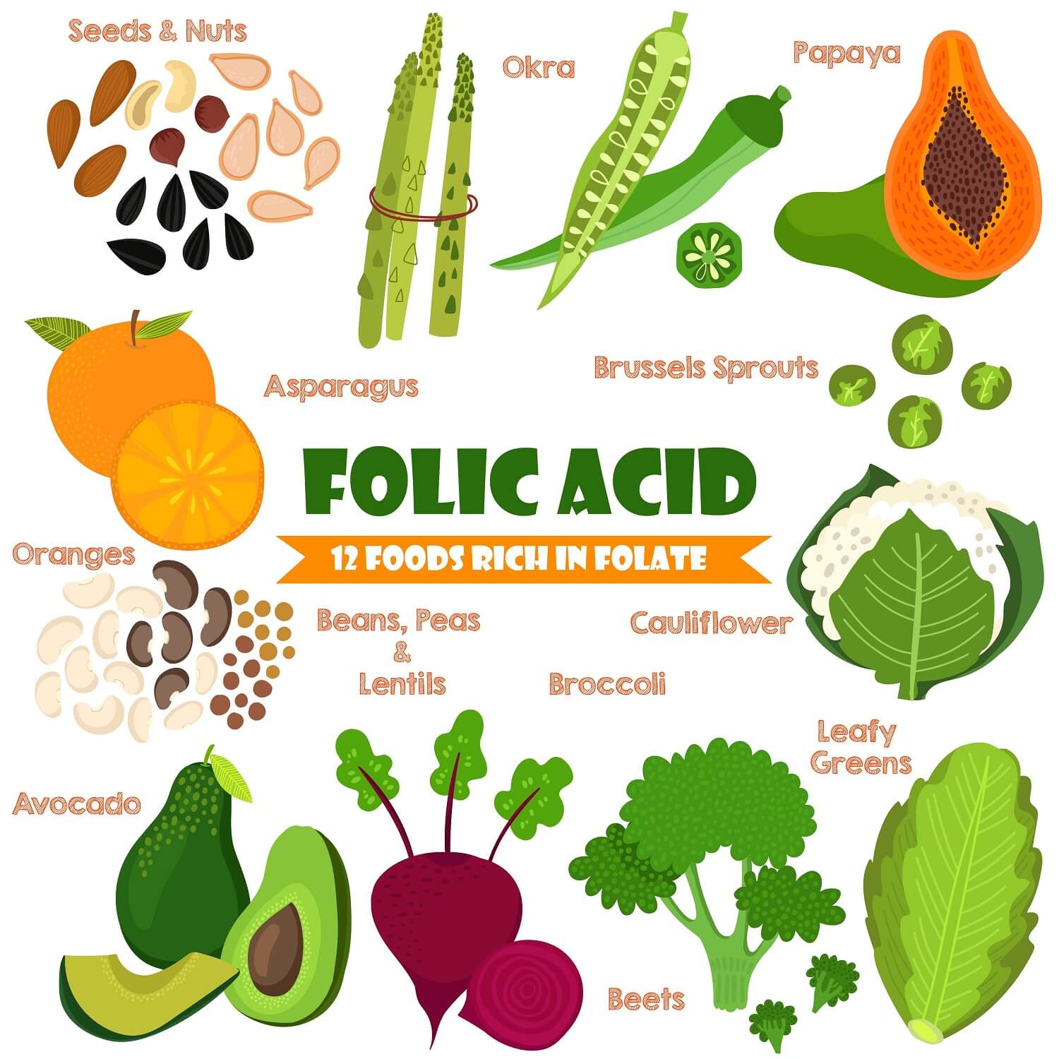 how-folate-can-help-the-elderly-maintain-cognitive-health