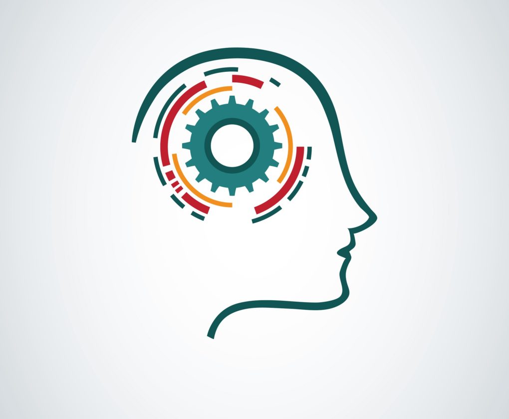 Brain executive function