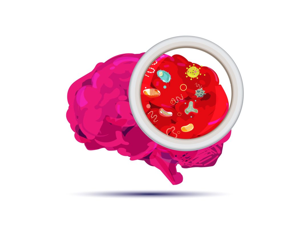 Brain Gut Connection