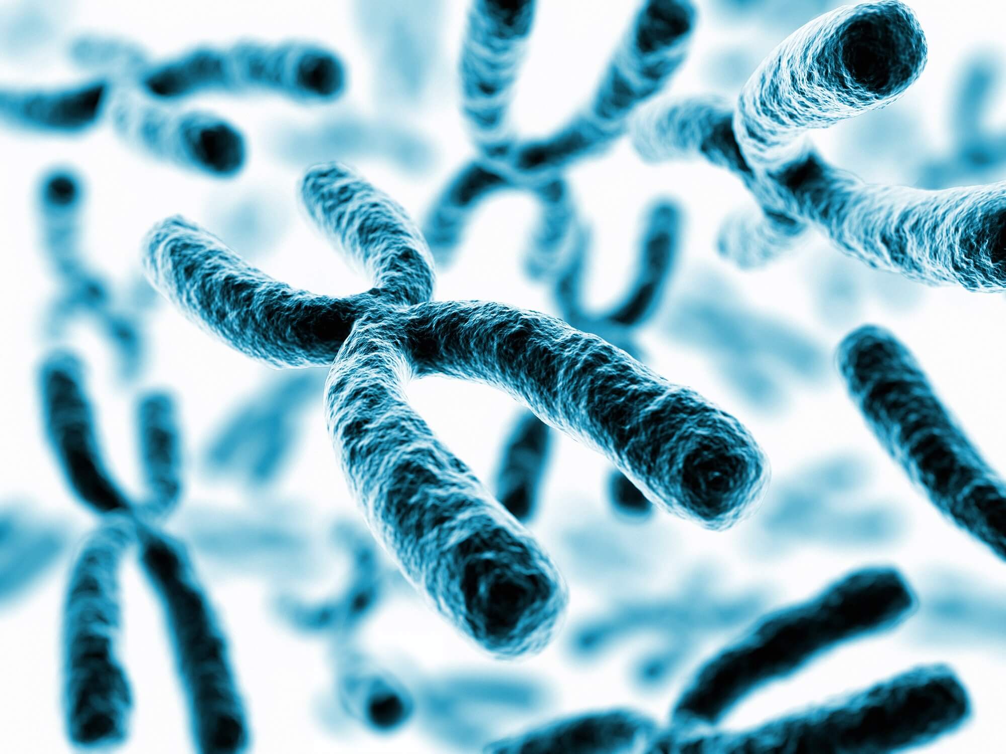 Hyperbaric Oxygen Therapy can reverse aging in the cellular level
