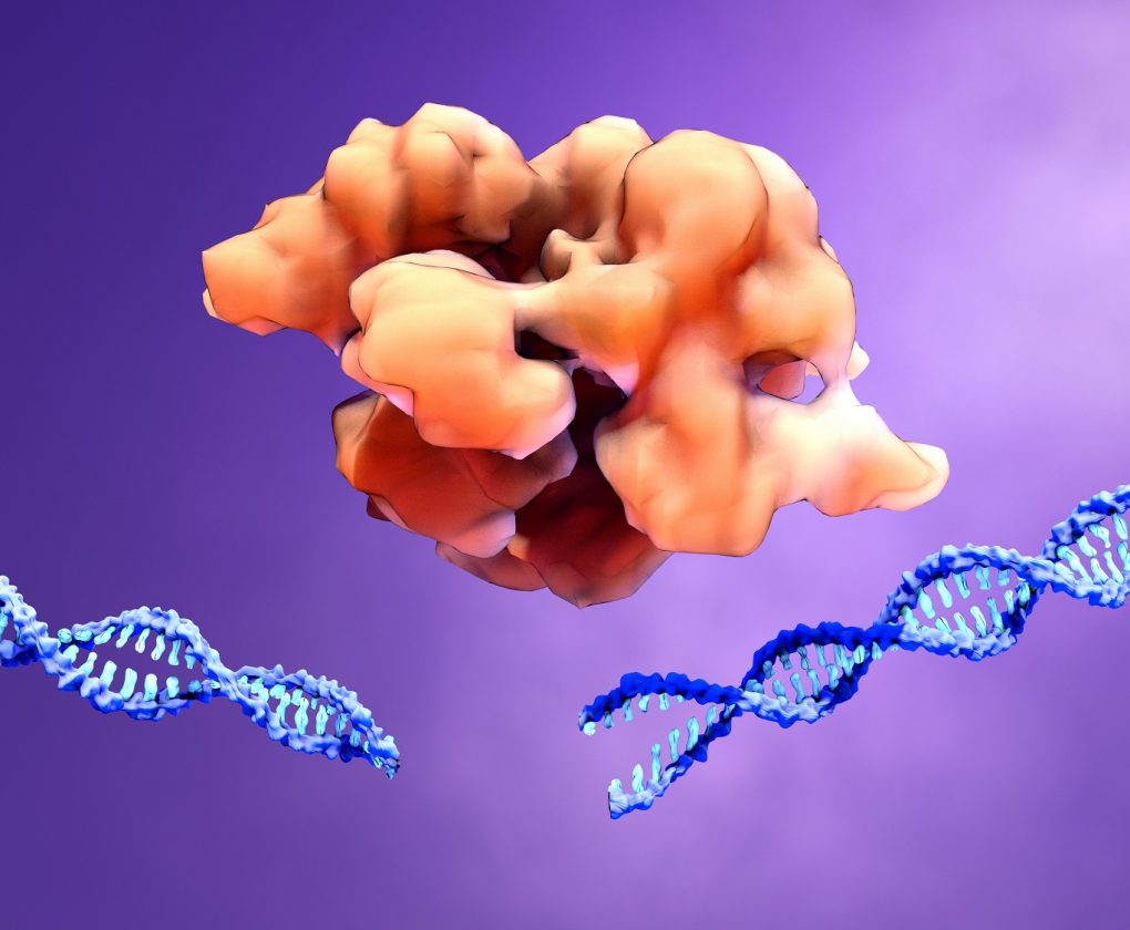 Crispr-Cas9 genetic scissors